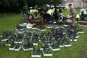 That's a lot of pansies!