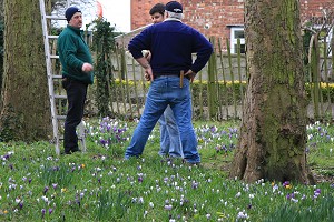 Debate amongst the crocuses