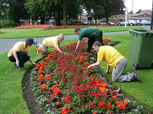 Weeding beds 