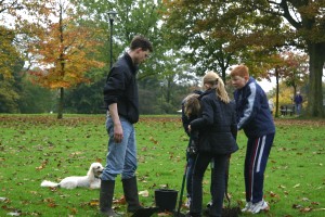 Autumn colours in the park